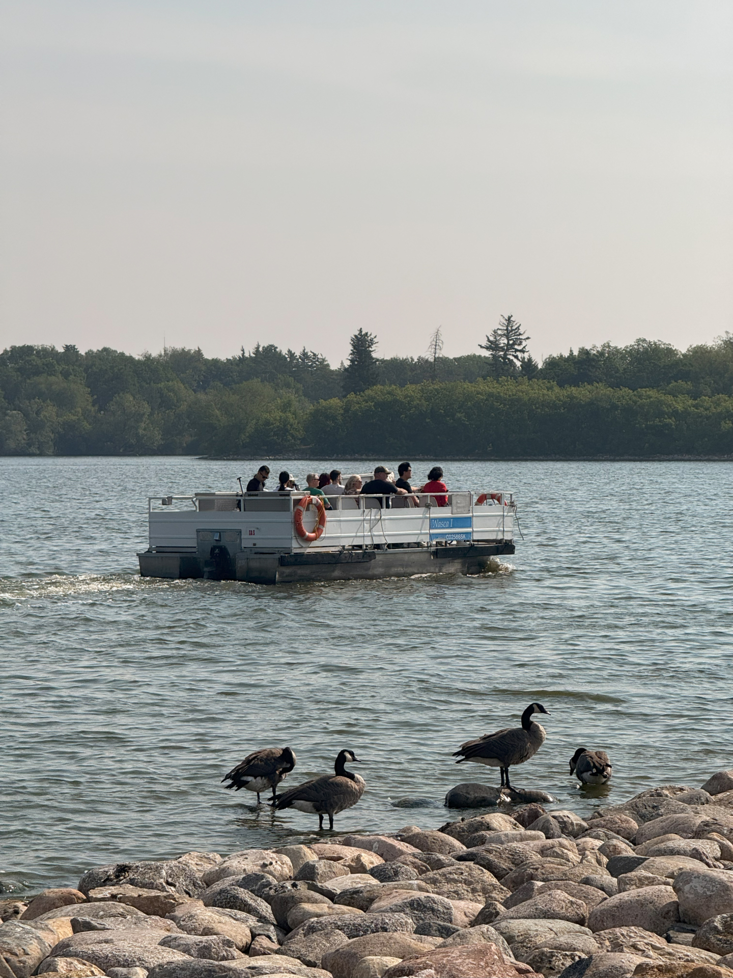 Boat Tours A group of people sit on a motorized boat during the day on Wascana Lake. A life preserver hangs on the side, with the side of the boat reading "Wasca 1". A few Canada geese that are standing on the rocks on shore watch.