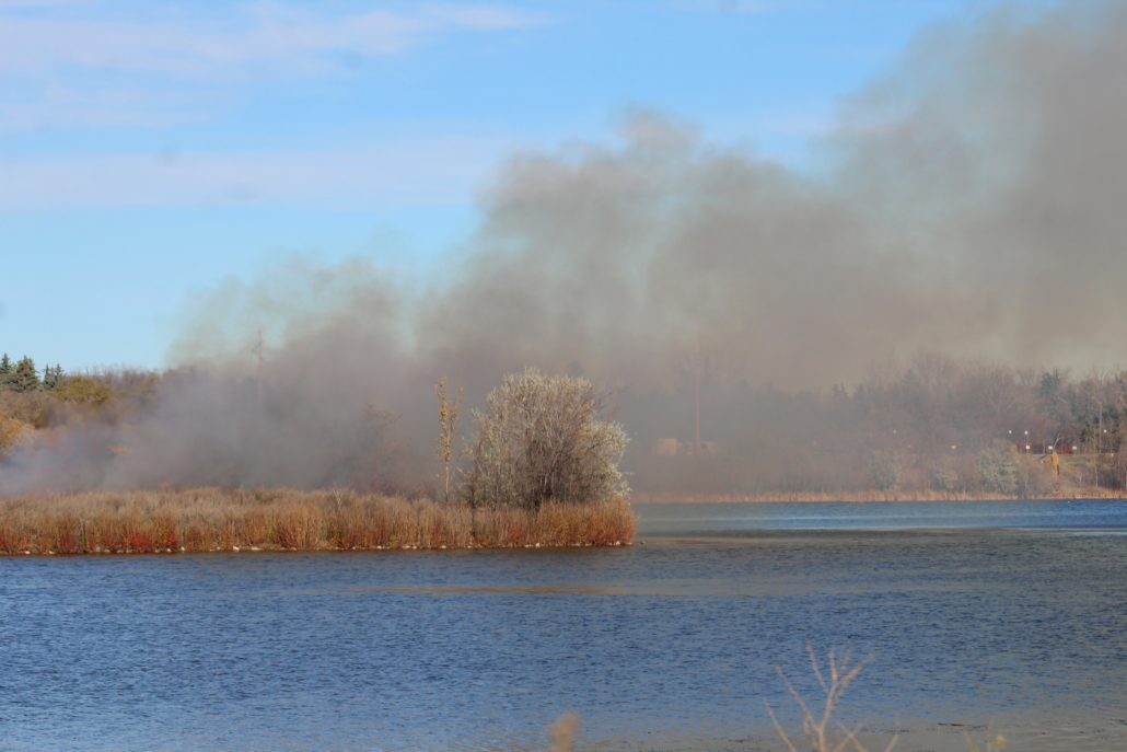 Prescribed Burn - Pelican Island Photo of the prescribed burn on Pelican Island, October 27, 2025.
