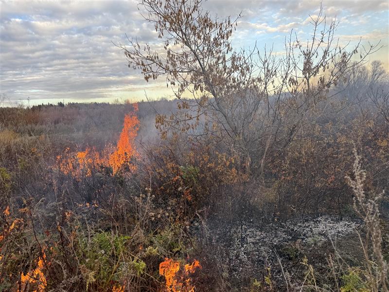 Prescribed Burn - North Goose Island An image of a prescribed burn conducted on north Goose Island within Wascana Centre.