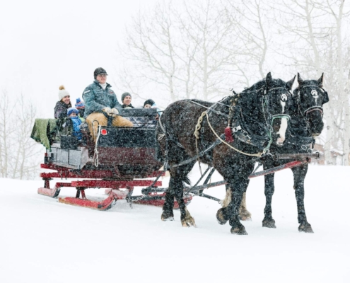 Two black horses pulling a red sleigh through falling snow with passengers seated inside.