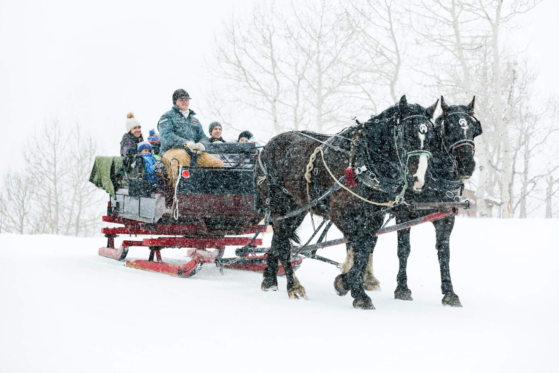 Two black horses pulling a red sleigh through falling snow with passengers seated inside.