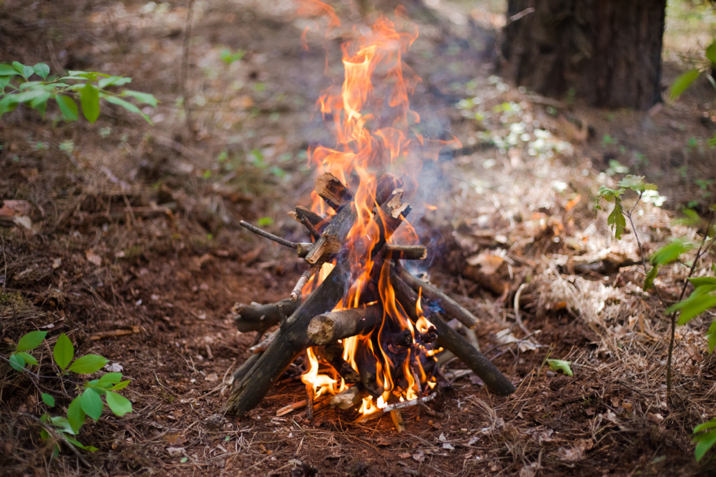 Campfire A campfire burns in the woods.
