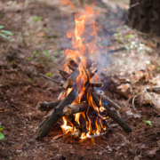A campfire burns in the woods.
