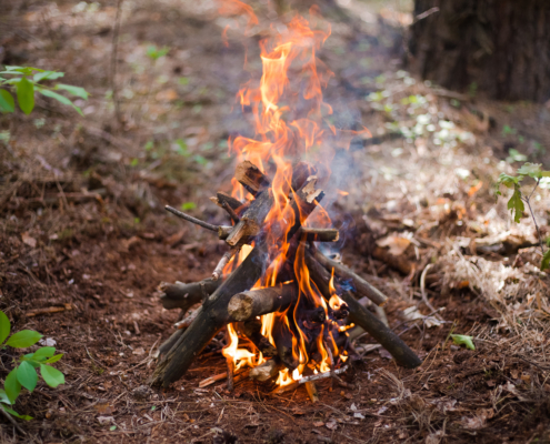 A campfire burns in the woods.