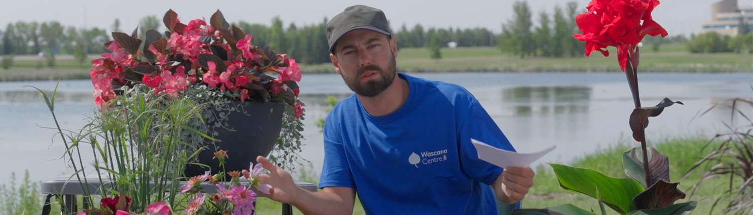 A man dressed in a blue shirt and a ball cap is sitting in between two flower pots.