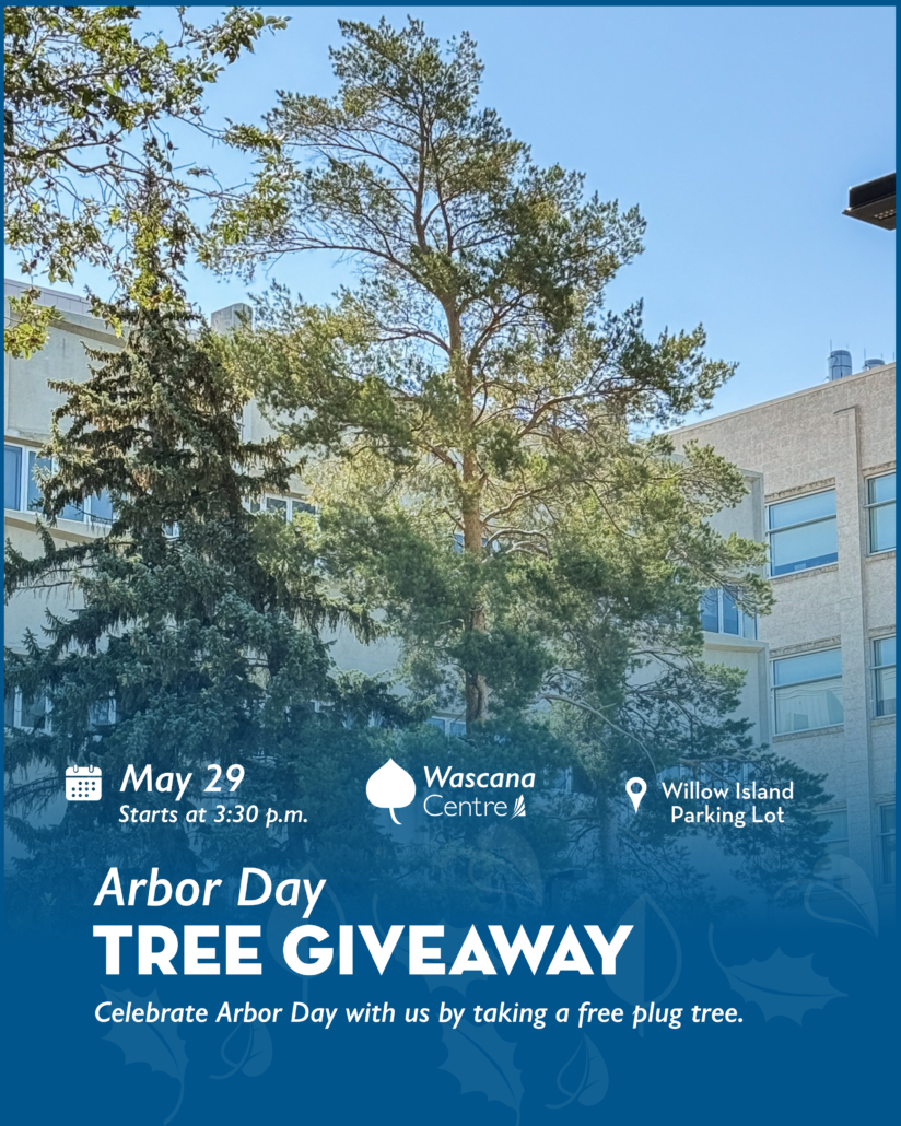 Arbor Day Tree Giveaway